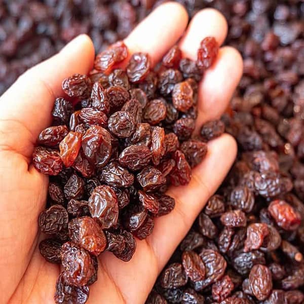 keshmesh-poloii-1 keshmesh poloii 1