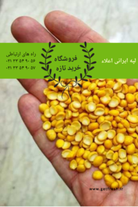 لپه ایرانی اعلاء 1 poster ۲۰۲۳ ۰۱ ۰۸ ۱۲۱۸۵۵