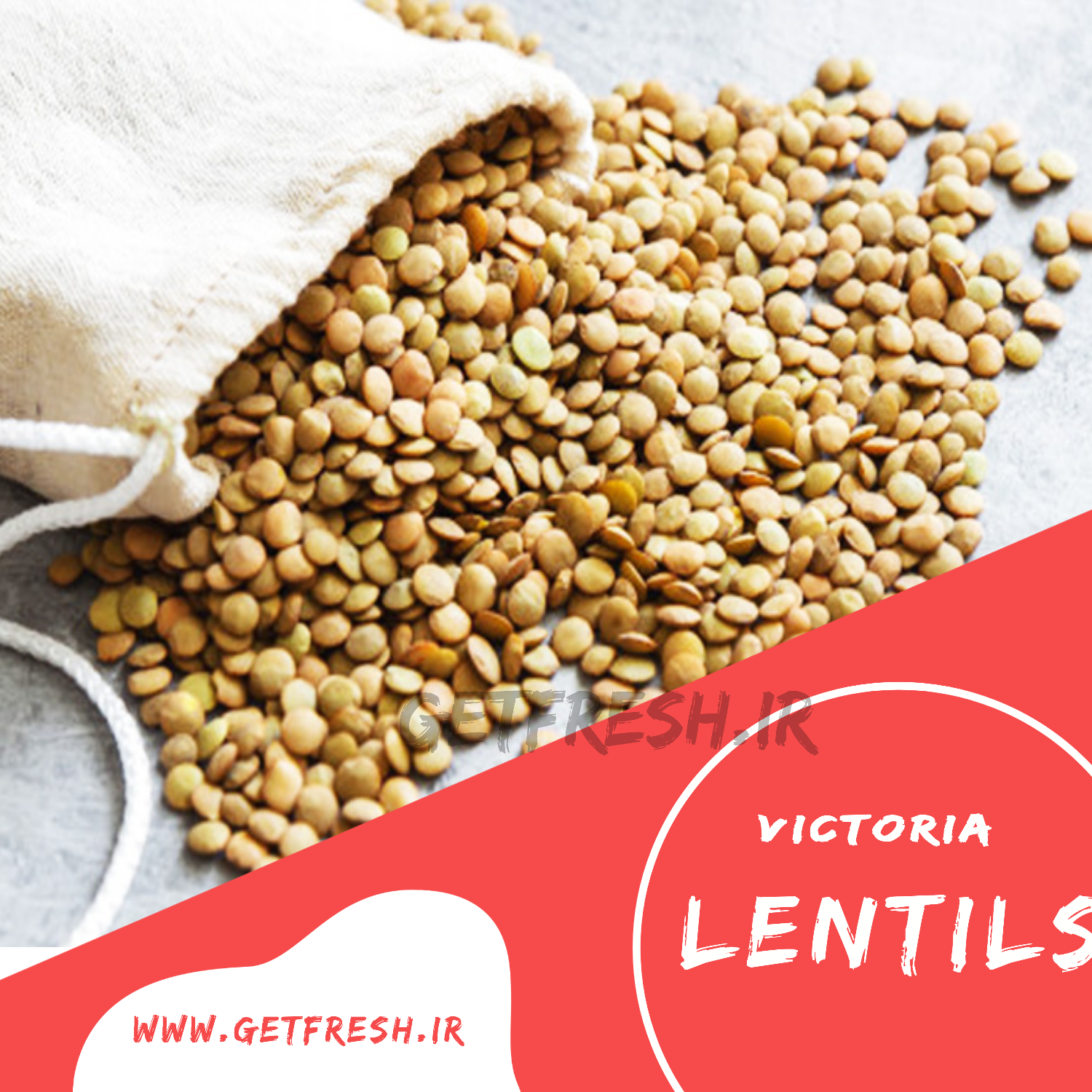 poster_۲۰۲۳-۰۱-۱۶-۰۱۴۹۵۵ poster ۲۰۲۳ ۰۱ ۱۶ ۰۱۴۹۵۵