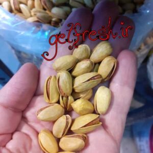 پسته اکبری شور